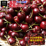 順次出荷中！ 新物 生 アメリカンチェリー 9.5R 以上 ダークチェリー 超大粒 チェリー 特大 9.5ROW 以上 …