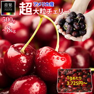 順次出荷中！ 新物 生 アメリカンチェリー 9.5R 以上 ダークチェリー 超大粒 チェリー 特大 9.5ROW 以上 …