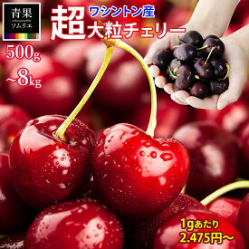 超大粒 生 アメリカンチェリー ワシントン産 9.5R 以上 ダークチェリー チェリー 特大 9.5ROW 以上 500g ~ 8kg さくらんぼ 化粧箱入り ギフト用 贈答用 直輸入 硬い パリパリ 食感