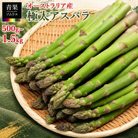 オーストラリア産 極太 グリーンアスパラガス 500g ／1kg（500g×2袋）／1.5kg（500g×3袋）空輸 旬の味覚 アスパラ 野菜