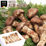 生松茸 中国産 900g 1kg 大容量 業務用 特選 天然松茸 訳あり ではない 正規品 選べる つぼみ 中つぼみ …