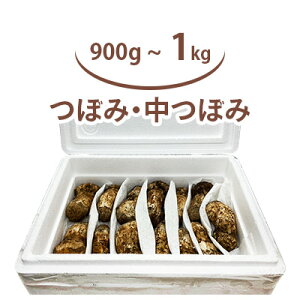  Y 900g ~ 1kg `  I Ɩp ꋉi Iׂ ڂ & ڂ iJj^ Ђ炫 ~bNX  ܂ A LmR NxD Ă VՂ  {