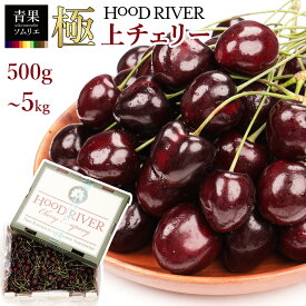 ＜HOOD RIVER＞ オレゴン州産 アメリカンチェリー 超大粒 ジャンボサイズ ブランドチェリー ダークチェリー 500g ~ 5kg さくらんぼ チェリー 化粧箱入り ギフト用 贈答用 オレゴン産