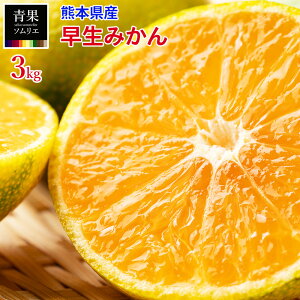 ݂ ÁE{  3kg  M~L TCY p Mtgp  ~J t[c ʕ F{ F{݂