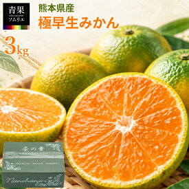 熊本みかん 3kg 極早生 肥のさやか 熊本県産 温州みかん 贈答用 化粧箱入り ギフト フルーツ