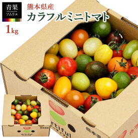 カラフルミニトマト 熊本県産 1kg トマト ギフト 食べ比べ 高級 野菜 お取り寄せ 自宅用
