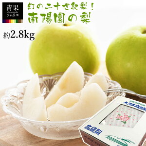 z  ޗǌY \I L / 2L / 3~4L 2.8kg Ȃ o   p p ʌ Ԍ̔