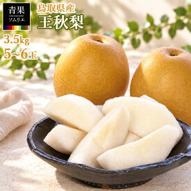 【先行予約】鳥取県産 梨 王秋 おうしゅう 約3.5kg 5〜6玉 大玉 5L〜6L相当 光センサー選果 糖度12度以上 和梨 国産 果物 送料無料 常温便 10月20日〜11月18日出荷