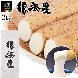  (R) R̈ 2kg R   loX^[ ˂΂X^[ kC \ rcY }mC }C  C  Mtg 蕨 j j ƒp Hi O  