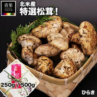 予約販売 北米産 松茸 生松茸 特選 250g / 500g ひらき （開き） ミックス アメリカ産 US産 カナダ産 送…