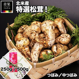 SALE 北米産 松茸 生松茸 特選 250g / 500g 一級品 つぼみ & 中つぼみ （中開き） ミックス アメリカ産 US産 カナダ産 送料無料 贈答用 化粧箱 まつたけ 空輸 高級キノコ 鮮度優先 焼き松茸 天ぷら 松茸料理 旬の食材 敬老の日