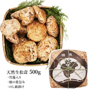kĎY   I 250g / 500g Ђ炫 iJj ~bNX AJY USY Ji_Y  p ϔ ܂ A LmR NxD Ă VՂ  {̐H hV