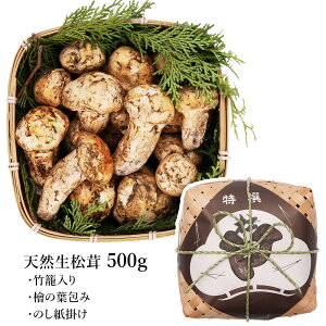 kĎY   I 250g / 500g ꋉi ڂ & ڂ iJj ~bNX AJY USY Ji_Y  p ϔ ܂ A LmR NxD Ă VՂ 
