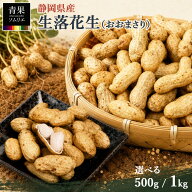 【期間限定】静岡県産 生落花生 おおまさり 500g / 1kg（500g×2袋）産地直送 洗浄・選別済み 大粒 ゆで…