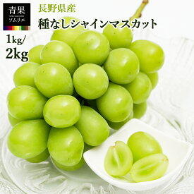 長野県産 シャインマスカット 1kg 2房／2kg 4房 大粒 種なし 皮ごと 産地直送 ぶどう 葡萄 ギフト 贈答用