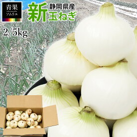 間も無く終了！ 篠原 特選 新玉ねぎ Lサイズ 2kg / 5kg 大玉 直径 8.0~9.5cm 浜松の玉ねぎ 国産 玉ねぎ 送料無料 たまねぎ 玉葱 タマネギ 人気 まとめ買い