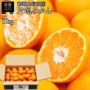 ЋT݂ v~A ݂   5kg Â  x13xȏI sTCY ~ mTCY   Lc݂ p Mtgp ①   ~J t[c ʕ a̎R  Z