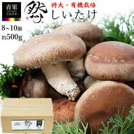 「然」 特大 有機栽培 生椎茸 約500g 8~10個入り 無農薬 しいたけ 生しいたけ 椎茸 シイタケ きのこ キノ…