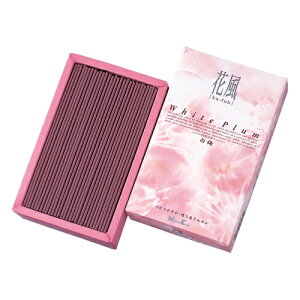  p@ƒp ԕ ~ ol(180g)  Mtg p ip i  Mtg 蕨  ~ ~ V~  @ 䋟 