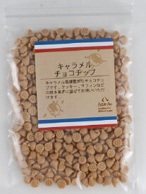 【プティパ】キャラメルチョコチップ 50g