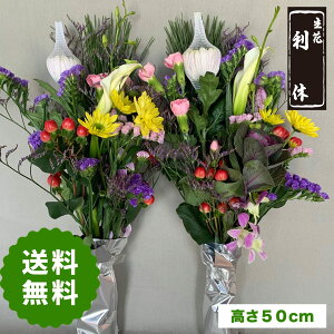 ypz t[AWg       AWgt[ AWt[ Q   @ @v   N  