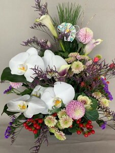 lC AWg _ ̂܂܏邨AWg     ֏ m a a }  ~jӒ  N