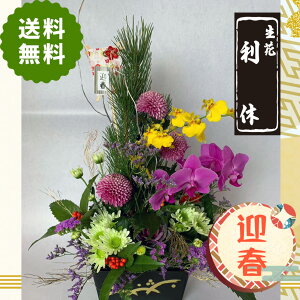 lC AWg _ ̂܂܏邨AWg     ֏ m a a }  ~jӒ  N