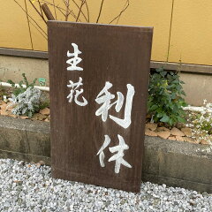 生花　利休