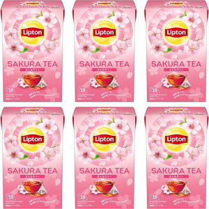 vg g eB[obO eB[ t[o[eB[ 15ܓ×6