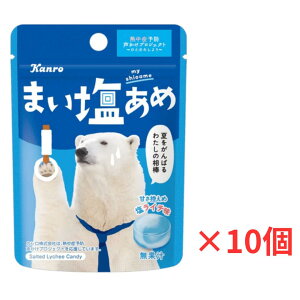 カンロ まい塩あめ 塩ライチ味 26g×10個