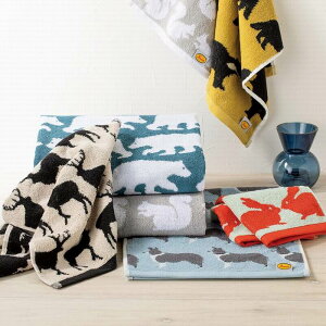  oX^I Anorak AmbN ݂|gK̍oX^IłBobW[Y 6025002400 JAN 4992272682342rbc 0366055900 JAN 4992272660319