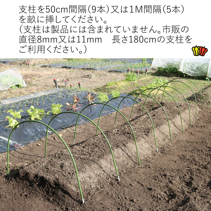 22年8月19日より順次手配 シンセイ 防虫ネット 農園 Diy 園芸資材 2 1 100m 虫よけネット 家庭菜園 農業資材 ガーデニング 0 4mm目 防虫網 22年8月19日より順次手配 シンセイ 防虫ネット 農園 Diy 園芸資材 2 1 100m 虫よけネット 家庭菜園 農業資材 ガーデニング 0 4mm目 防虫網