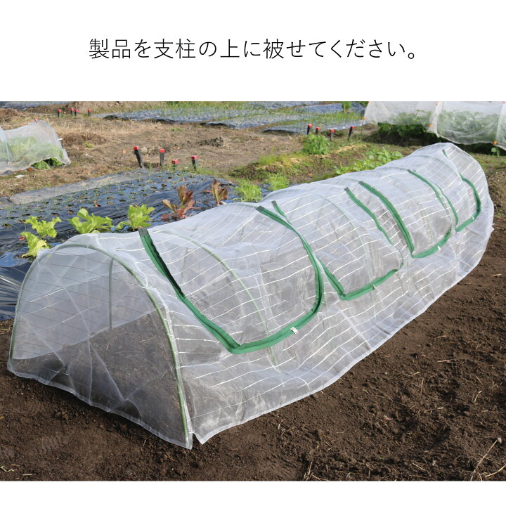 22年8月19日より順次手配 シンセイ 防虫ネット 農園 Diy 園芸資材 2 1 100m 虫よけネット 家庭菜園 農業資材 ガーデニング 0 4mm目 防虫網 22年8月19日より順次手配 シンセイ 防虫ネット 農園 Diy 園芸資材 2 1 100m 虫よけネット 家庭菜園 農業資材 ガーデニング 0 4mm目 防虫網