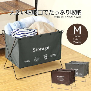 y |Cg5{ 10/30()00:00`10/30()23:59܂ zו וu Jou ܂肽 [{bNX z [bN bN ו[{bNX ZtEtA[bN M 47cm [P[X 