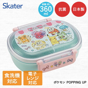 y Gg[Ń|Cgő24{ 12/4()20:00`12/5()23:59܂ zӂƃt^^Cg `{bNX 1i 360ml dqWΉ H@Ή { QAF2BAAG XP[^[ | fBYj[ ̎q q 