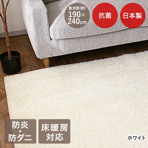 y Gg[Ń|Cgő9{ 11/20()20:00`11/27()1:59܂ z J[ybg ACrX { 190×240cm ꏤ | Y O ܂ h R h_j ~ イ O~ _jh~ ߂