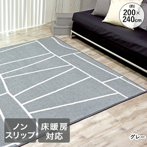 O ~ Opbh A_[O 200×240cm 3 ` O[A ꏤ | YȂ ӂ ~ E^ zbgJ[ybgΉ g[Ή ₦΍ LYh~ h~ J