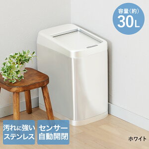 ZT[Vb^[ ݔ 30L TAN-3021-30 J | _Xg{bNX ZT[ S~ 30bg ӂt ZT[ J S~ L L Wt JS~ 䏊 rO L