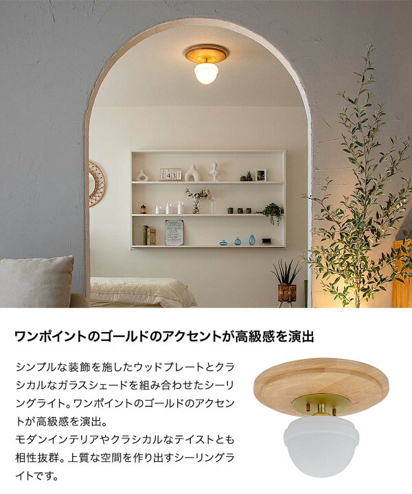 楽天市場】TIC シーリングライト 1灯タイプ 選べるLED電球ありなし LED 