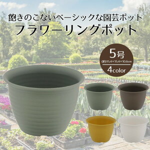 y |Cg5{ 10/30()00:00`10/30()23:59܂ zt[O|bg 5 xXgR | v^[ TCY K[f|bg |bg  Aؔ v^[ Ap|bg vX`bN 5 K[