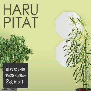 j[͂҂ 280×280mm 2g | ͂s^  V[ RpNg  tB mt[ Sg tFNX~[ hƃ~[ p EH[~[ y \鋾 \~[ C  