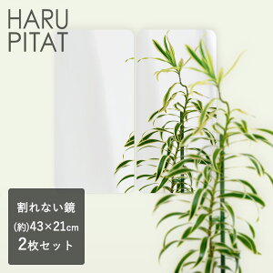 j[͂҂ 430×210mm 2g |  V[ RpNg  tB mt[ tFNX~[ hƃ~[ hƋ  y EH[~[  ֗ Lb` N[[bg g