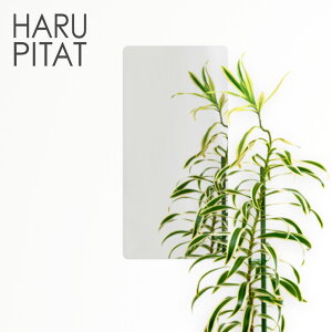 y Gg[Ń|Cgő5{ 11/16()00:00`11/16()23:59܂ zj[͂҂ 430×210mm |  V[ RpNg  tB mt[ Z[teB~[ tFNX~[ hƃ~