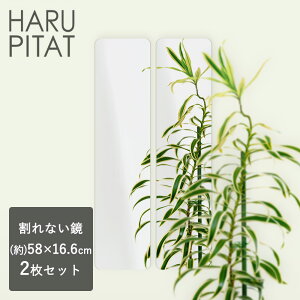 y |Cg5{ 11/1(y)00:00`11/1(y)23:59܂ zj[͂҂ 58cm×16.5cm 2g | V[ RpNg tB Z[teB~[ tFNX~[ hƃ~[  y V[g EH[~