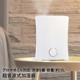 楽天市場 乾燥対策の通販