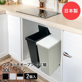 スライドペール 30L ゴミ箱 2個セット | ごみ箱 ダストボックス ゴミ入れ キャスター付き キッチンごみ箱 キッチン 30リットル 蓋つきゴミ箱 ふた付き 分別 トラッシュカン ごみばこ 生ごみ 生ゴミ スライド 模様替え 引っ越し 台所 新生活 一人暮らし カウンター まとめ買い