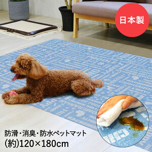 ybg}bg h L h 120x180cm p u[ aOrA | ybg }bg ~ 􂦂 hbO}bg Q[W}bg @  L   Ȃ t[Jbg Q[W tA