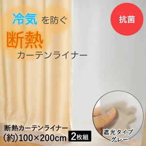 fMJ[eCi[ O[ 100cm×200cm 2 aOrA | fM ՔM ՔMJ[e fMJ[e ۉ J[e ΍ g C  CՒf V[g Ւf fMV[g |o J[
