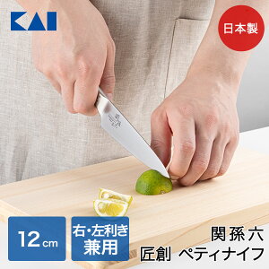 ֑Z n yeBiCt 120mm AB5163 L { | iCt  I[XeX XeX ق傤 E  XeX qI Lb` Mtg 蕨 j j oYj