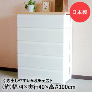 TW-`FXg 745 zCg 74cm 5io aH { | [{bNX [ [^X ^X o `FXg rO N[[bg q  ߑ{bNX ߑP[X ߗގ